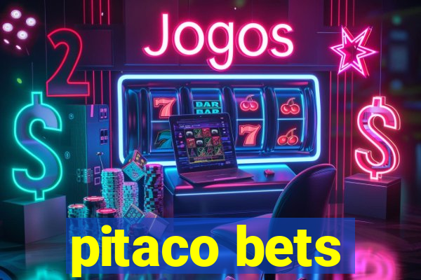 pitaco bets